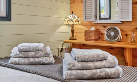 1 Bed in Laneast 5