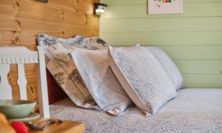 1 Bed in Laneast 4