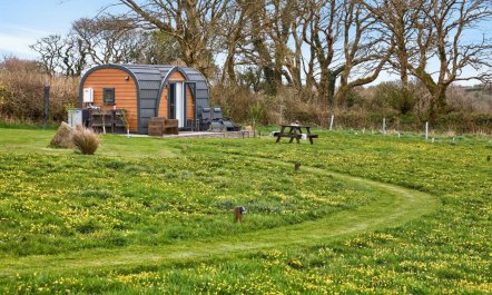 1 Bed in Laneast