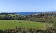 4 Bed in Galmpton 0