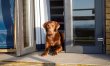 1 Bed in Kniveton 4