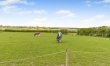 1 Bed in Alpraham 1