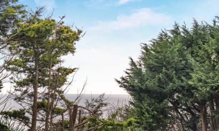 4 Bed in Ventnor 3