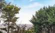 4 Bed in Ventnor 3