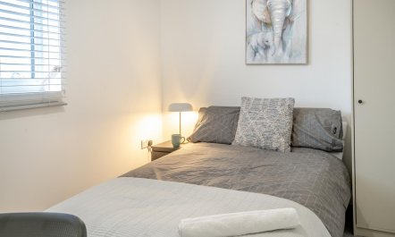 3 Bed in Newport 9