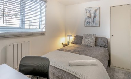3 Bed in Newport 7