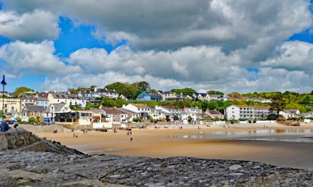 1 Bed in Stepaside 5