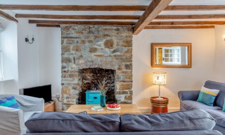 3 Bed in Appledore 7