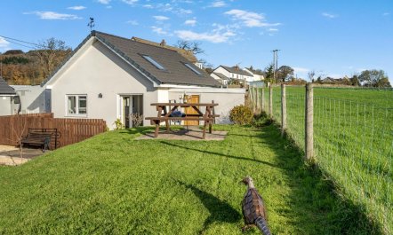 1 Bed in Bryn-y-Gwenin 9