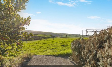 3 Bed in Rhydyfelin 2