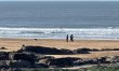 1 Bed in Bude 8
