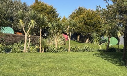 1 Bed in Bude 8
