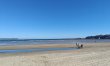 3 Bed in Weymouth 4