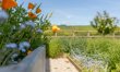 3 Bed in Loddiswell 2