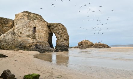 5 Bed in Perranporth