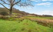 3 Bed in Islawrdref 6