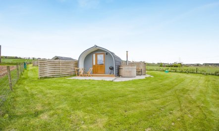 1 Bed in Forfar 5