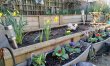 1 Bed in Marton 5