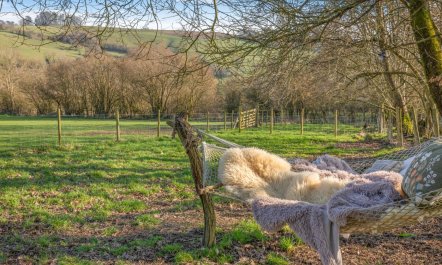 1 Bed in Rhos-y-Meirch 3