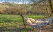 1 Bed in Rhos-y-Meirch 3