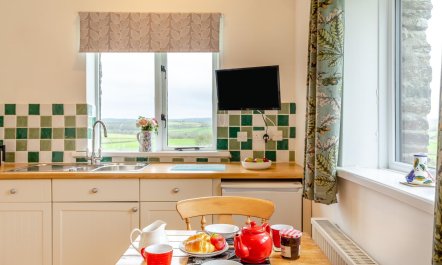 1 Bed in Marhamchurch 5