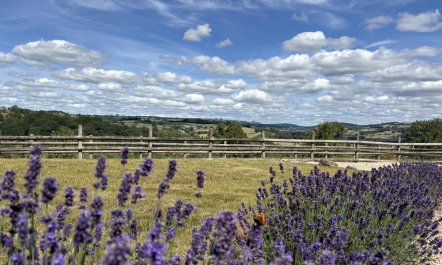 1 Bed in Idridgehay 2