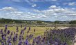 1 Bed in Idridgehay 2