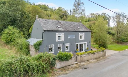 4 Bed in Derrylin 5