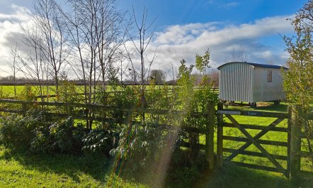 1 Bed in Churchstanton 8