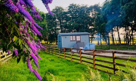 1 Bed in Westward 2