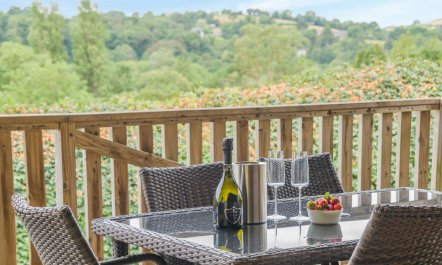 3 Bed in Bickleigh 7