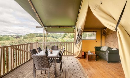 3 Bed in Bickleigh 5