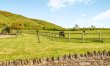 2 Bed in Swanage 1