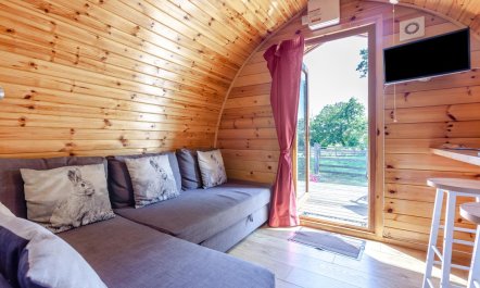 1 Bed in Combe St. Nicholas 7
