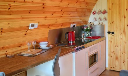 1 Bed in Combe St. Nicholas 7