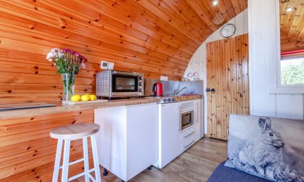 1 Bed in Combe St. Nicholas 8