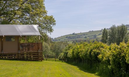 3 Bed in Bickleigh 1
