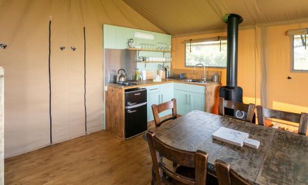 3 Bed in Bickleigh 7