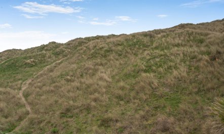 1 Bed in Perranporth 3