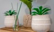 2 Bed in Child Okeford 6