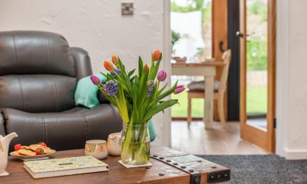 1 Bed in Stratton 7