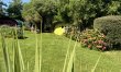 1 Bed in Bude 7