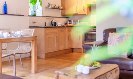 1 Bed in Bude 7