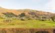 3 Bed in Grasmere 6