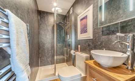 1 Bed in Gatehouse Of Fleet 8