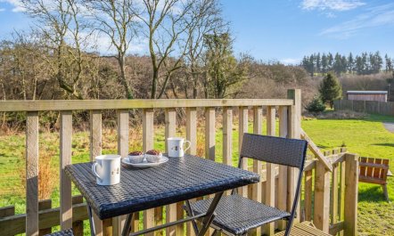 1 Bed in Lanercost 4