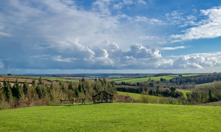 1 Bed in Milton Abbas 5