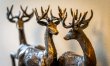 2 Bed in Ambleside 8