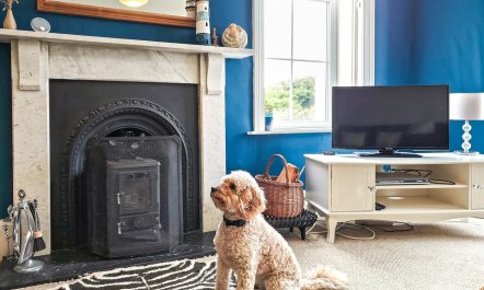 4 Bed in Mortehoe 8