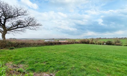 3 Bed in Rousdon 9